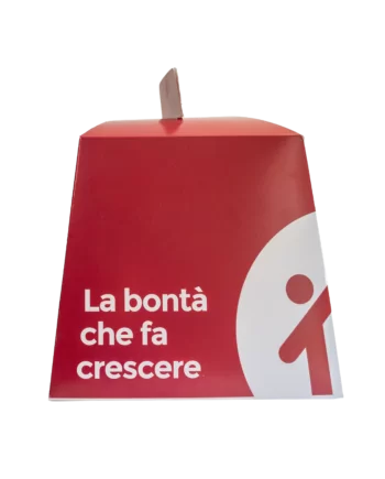 Panettone Solidale Classico